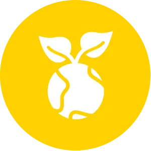 Sustainbility & Eco-Friendly