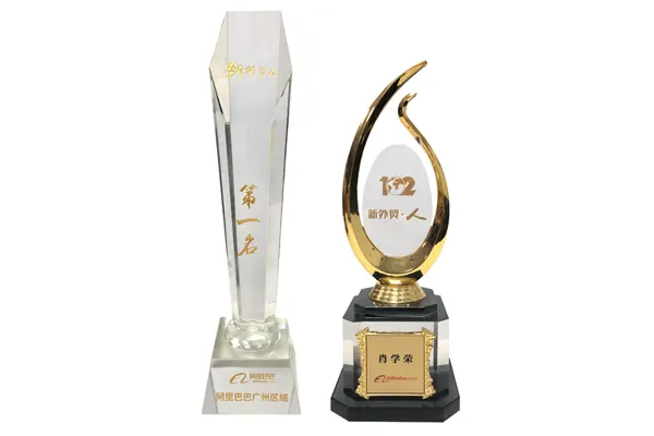 Government Partnership & Awards