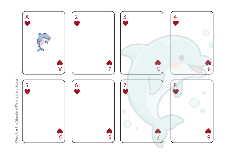 What Are The Standard Playing Card Sizes